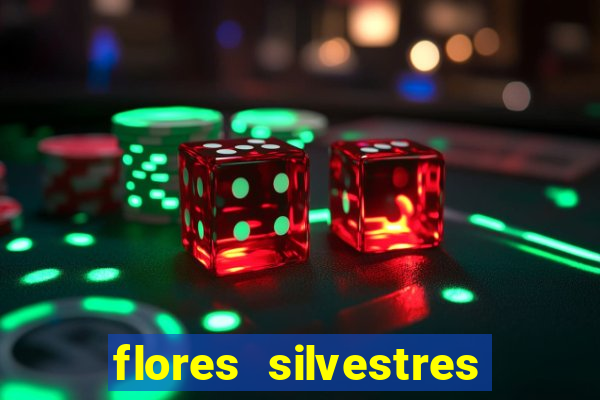 flores silvestres desbravadores desbravadores 25